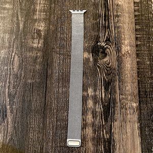 Apple Watch magnetized wristband